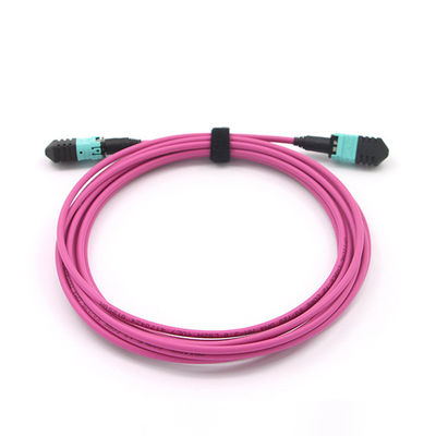 Multimode OM4 MPO MTP Cable 2m 12 Core 1300nm For FTTX