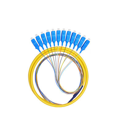 Single-Mode 12-Core Sc Fiber Optic Pigtail APC/UPC Bundled Pigtail G652D