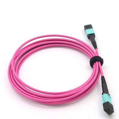 Multimode OM4 Magenta Mpo Optical Cable 2m 850nm 12 Core