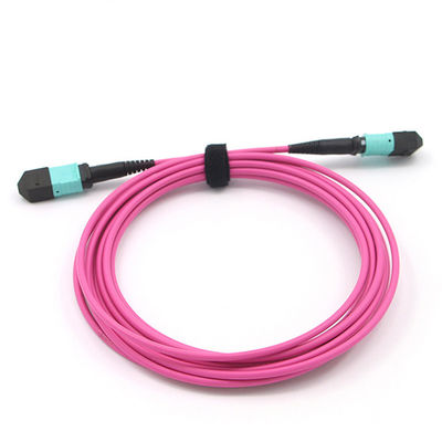 Multimode OM4 Magenta Mpo Optical Cable 2m 850nm 12 Core