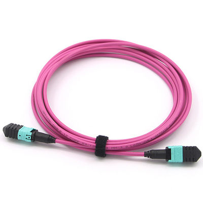 Multimode OM4 Magenta Mpo Optical Cable 2m 850nm 12 Core