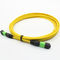 12 Core Single Mode MPO Patch Cable 2m For Machine Room